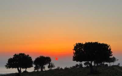 Marathon [108] Jeep Safari - Narodowy Park Akamas z Protaras