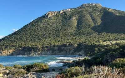 Marathon [109] Jeep Safari - Narodowy Park Akamas z Ayia Napa